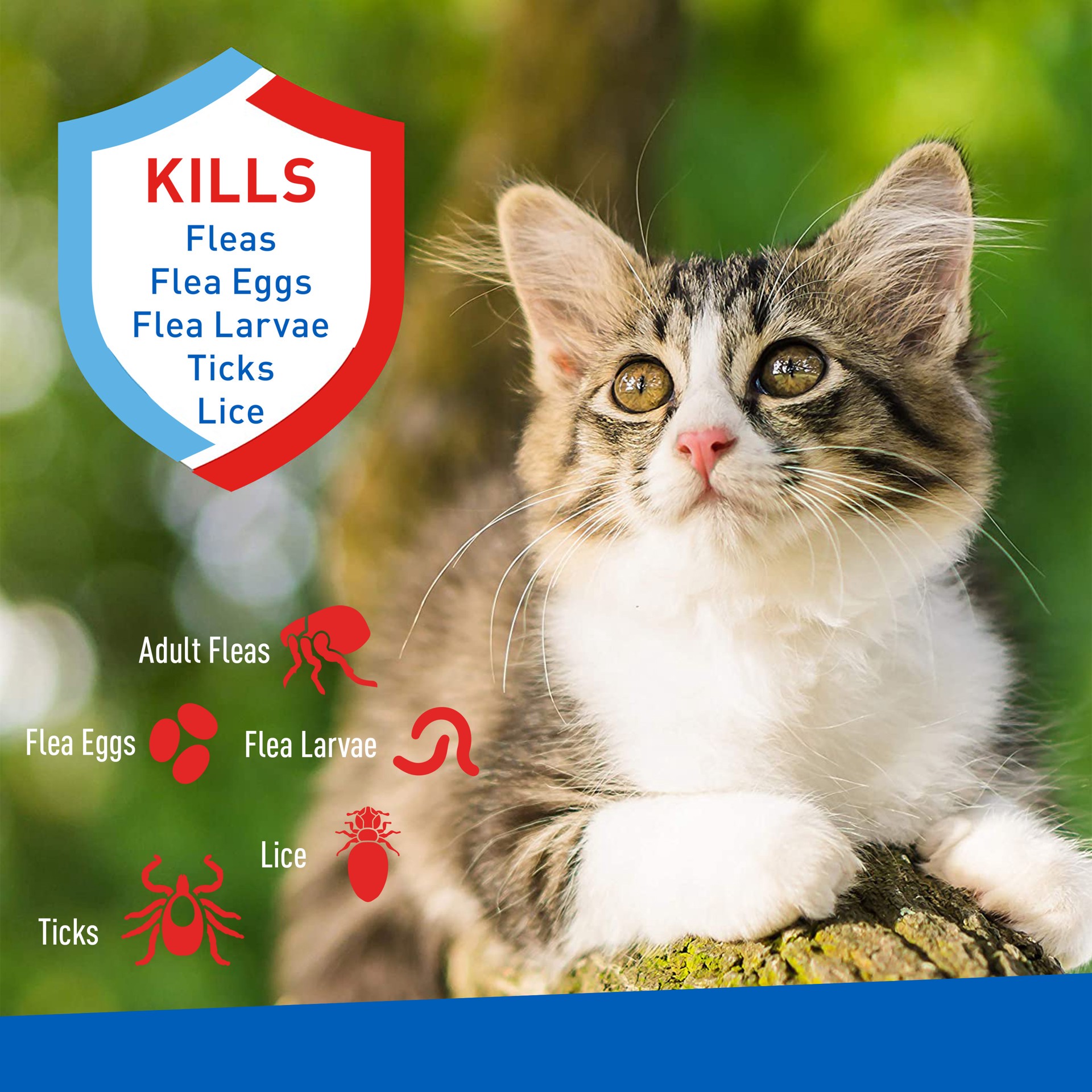 slide 2 of 9, Adams Foaming Flea And Tick Cat Shampo, 10 oz