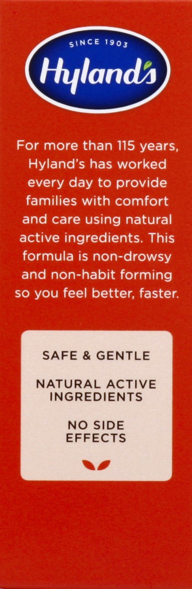 slide 6 of 12, Hyland's Pain Relief, 100 ct