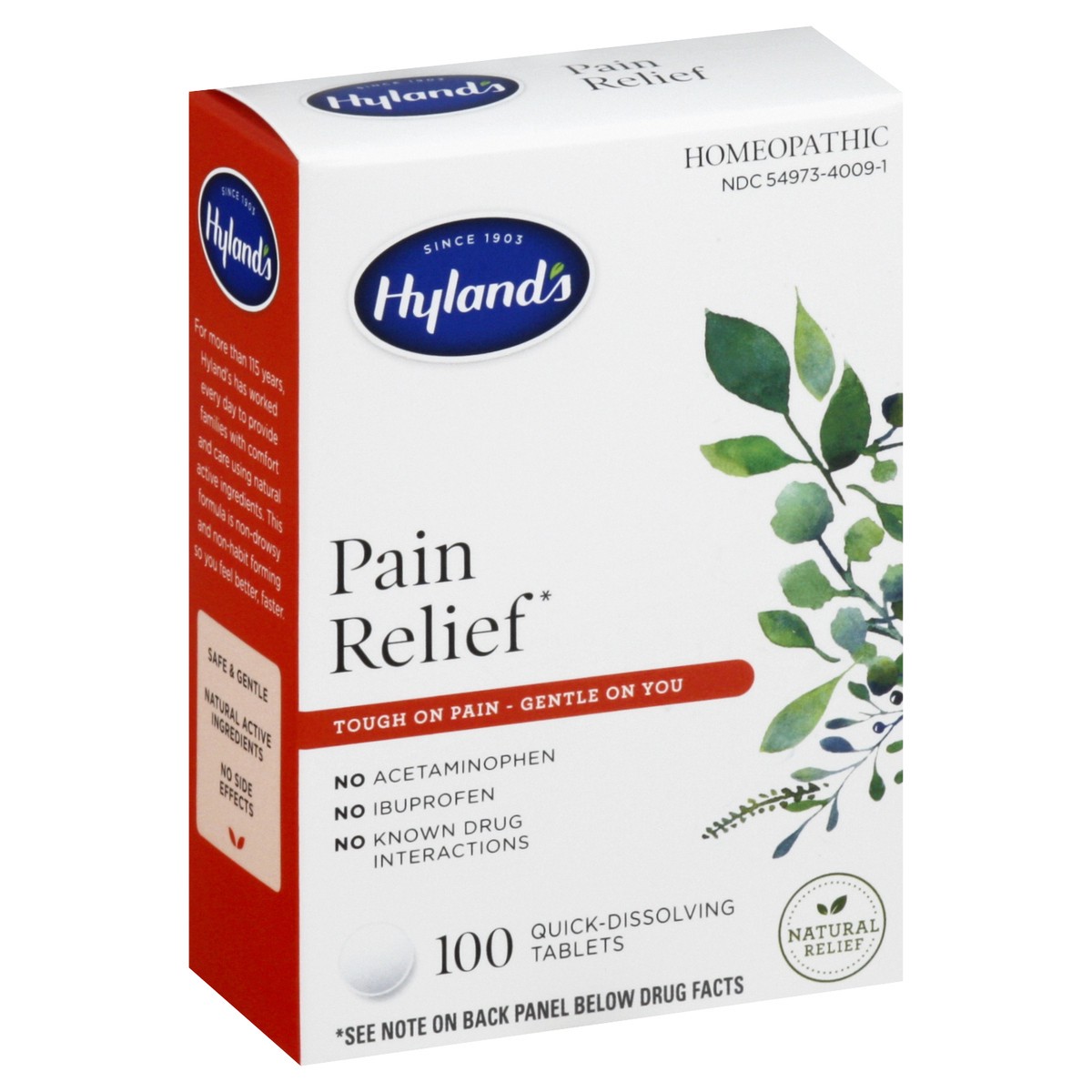 slide 8 of 12, Hyland's Pain Relief, 100 ct