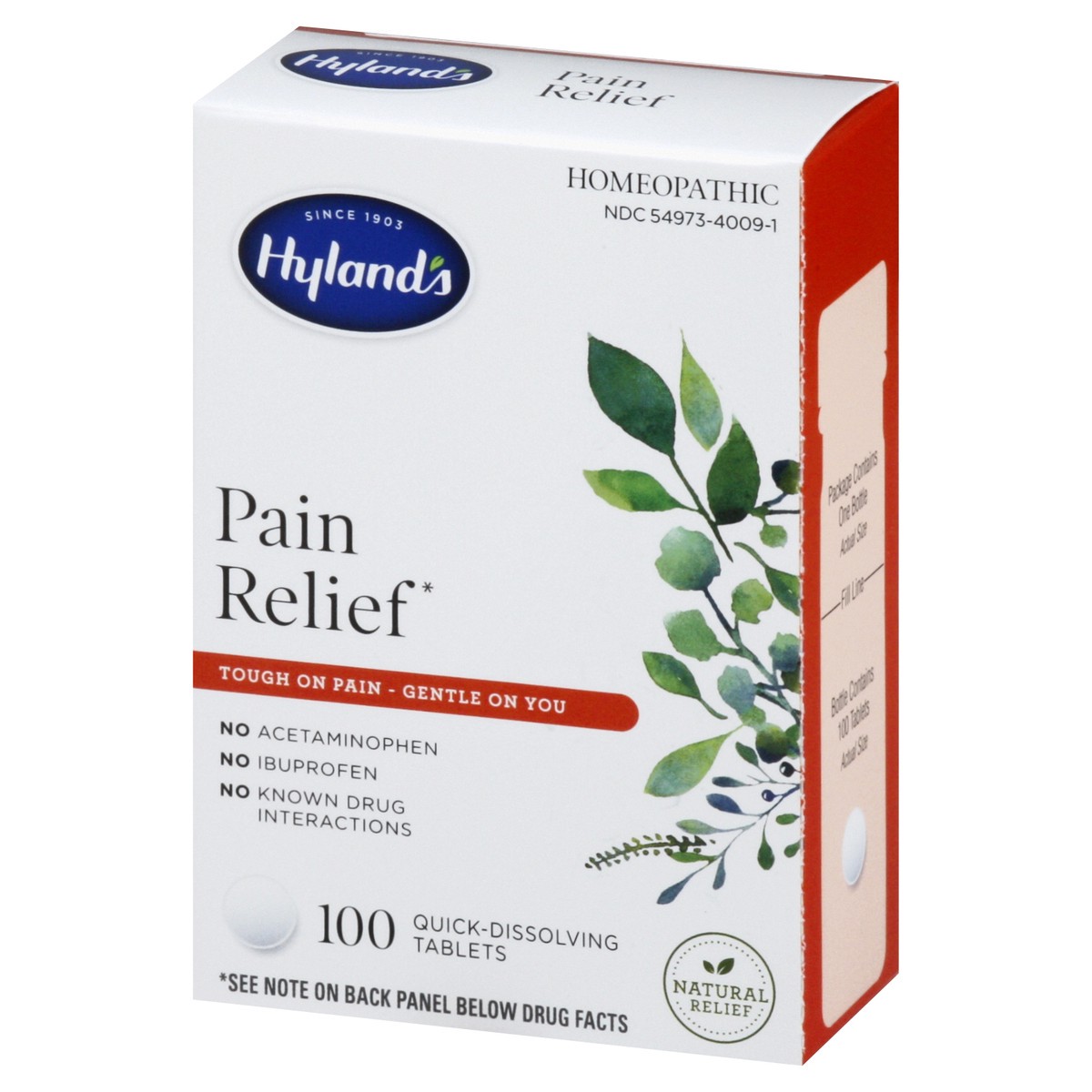 slide 9 of 12, Hyland's Pain Relief, 100 ct