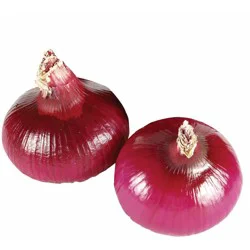 Red Onions 3 lb Bag