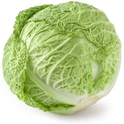 Organic Green Savoy Cabbage