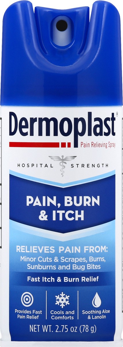 slide 1 of 1, Dermoplast Pain Relief Spray for Minor Cuts, Burns and Bug Bites - 2.75oz, 2.75 oz