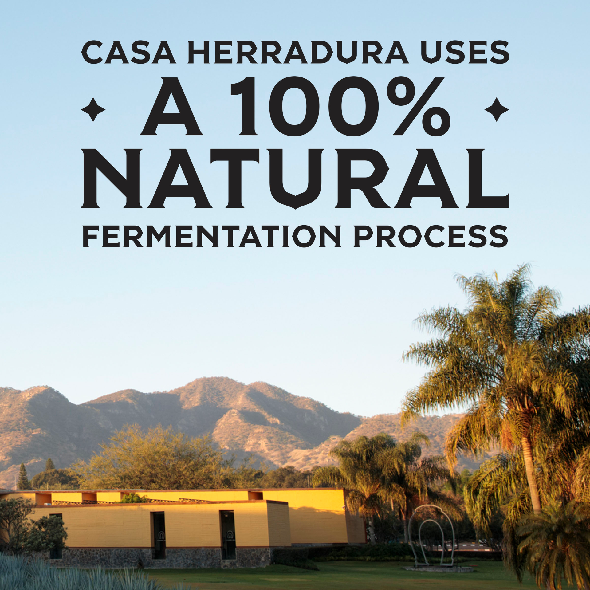 slide 4 of 4, Herradura Ultra Añejo 375 mL 80 Proof, 375 ml