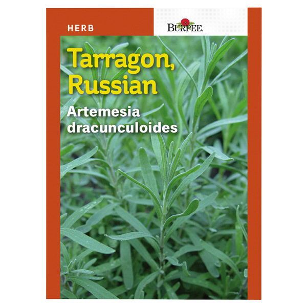 slide 1 of 1, Burpee Tarragon Russian Seeds, 1 ct