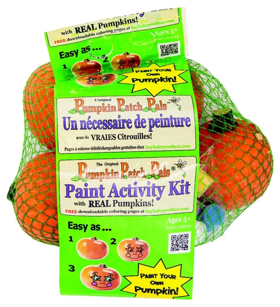 slide 1 of 1, Pumpkin Patch Pals Pumpkin Patch Pal Paint Activity Set, 6 ct