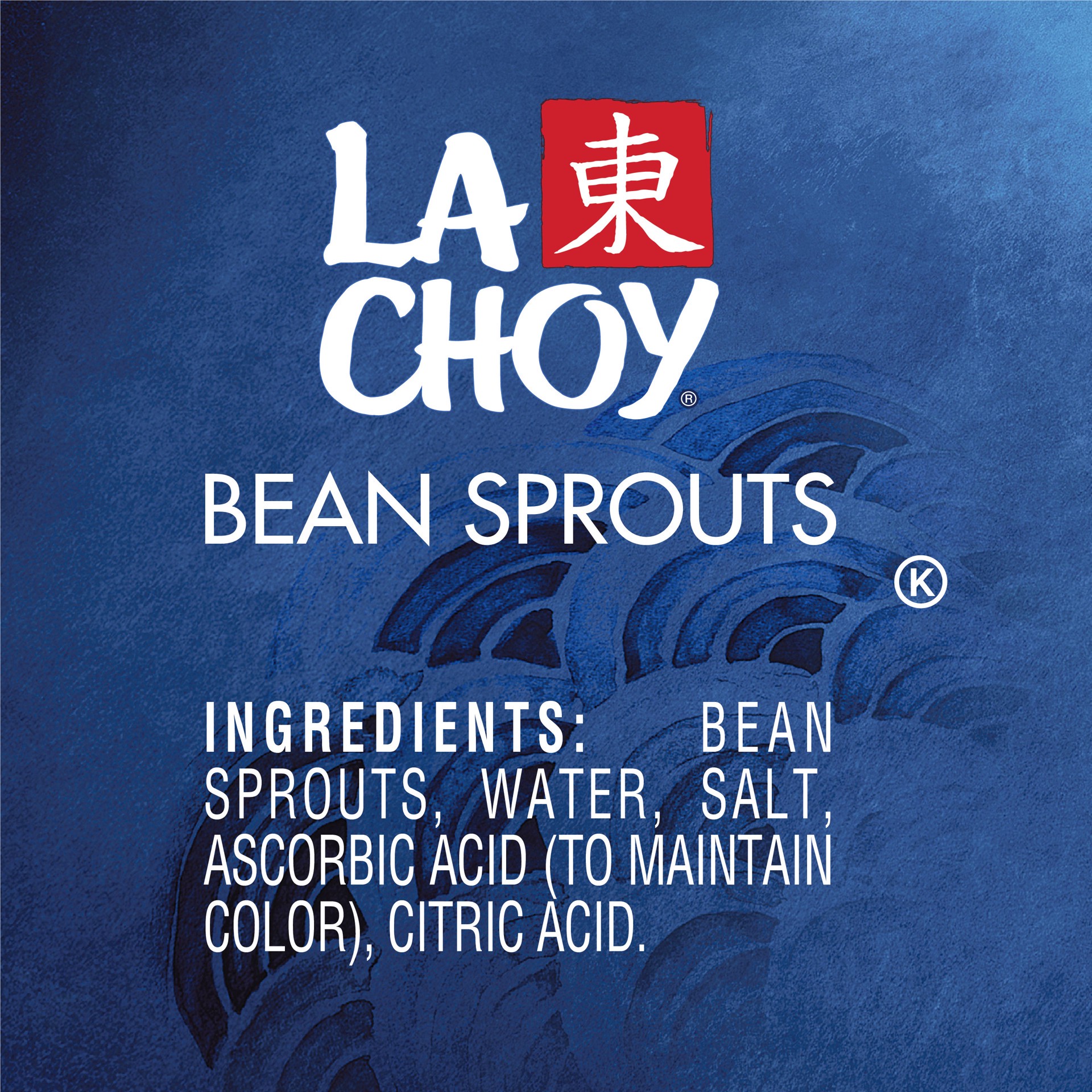 slide 4 of 4, La Choy Bean Sprouts, 14 Ounce, 14 oz
