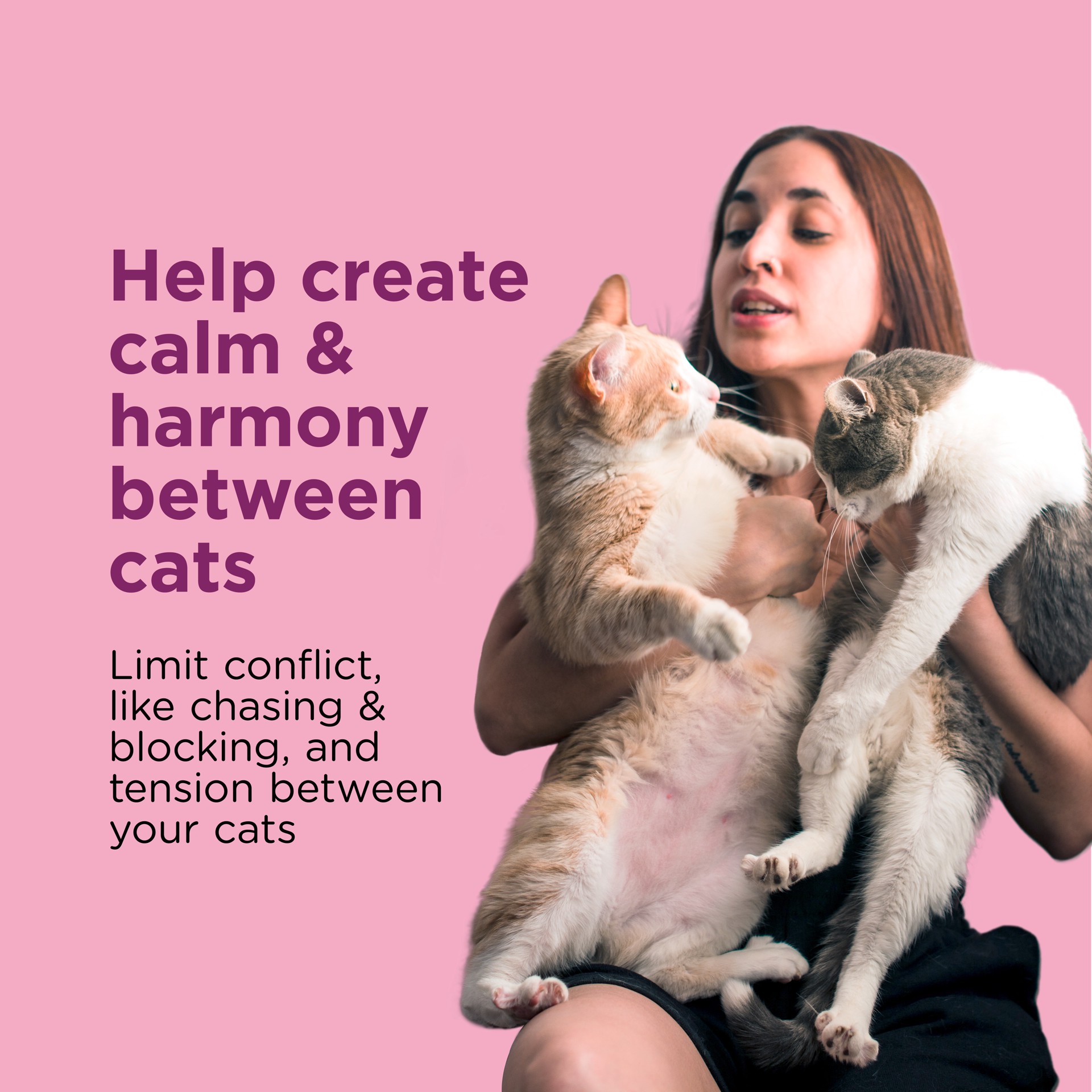 slide 7 of 7, Comfort Zone MultiCat Calming Diffuser Kit, Cat Pheromones, 2 Pack Diffuser Kit, New Formula, 3.24 fl oz