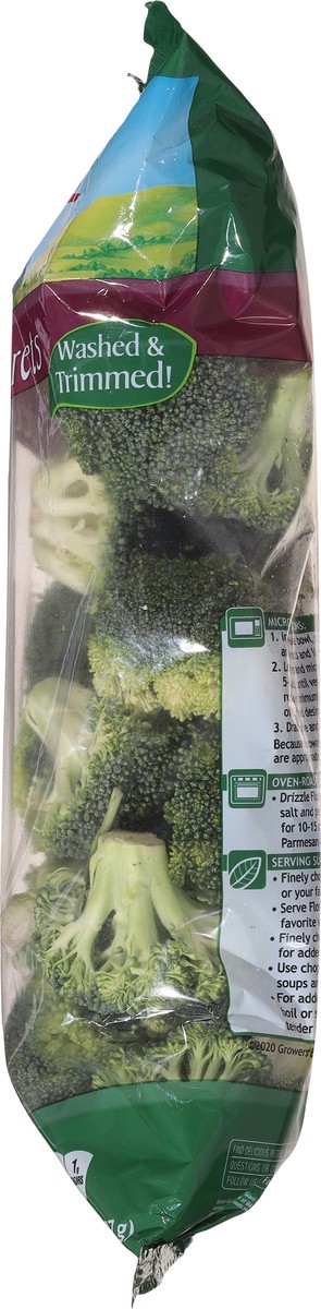 slide 8 of 13, Green Giant Fresh Broccoli Florets 32 oz, 32 oz