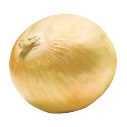Fresh Jumbo Red Onion