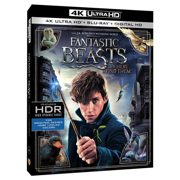 slide 1 of 1, Fantastic Beasts and Where to Find Them (4K + Blu-Ray + Digital), 1 ct