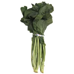 Bakers Farm Baker Farms Collards