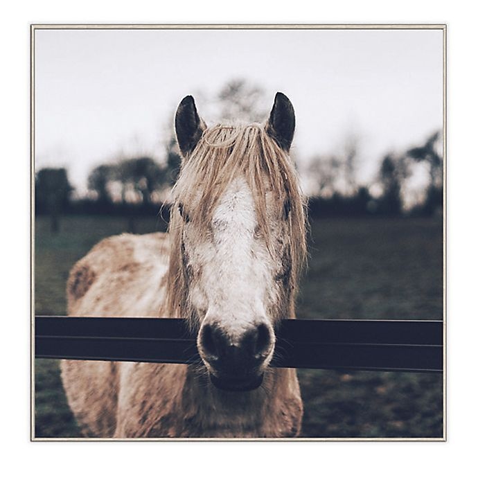 slide 1 of 1, Designs Direct Neutral Horse Photograph Square Framed Wall Art, 30 in