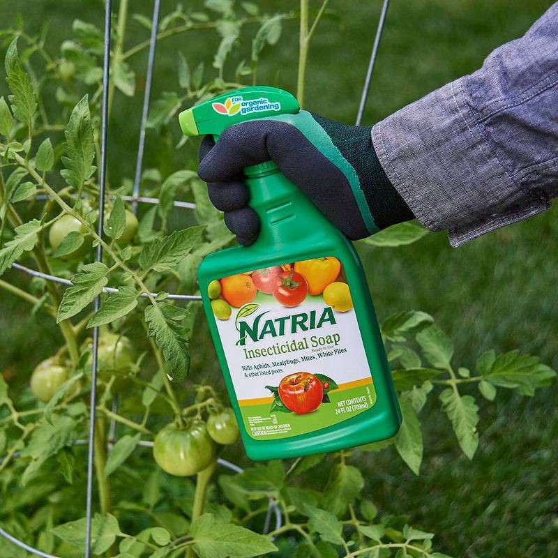 slide 2 of 2, Natria Insecticidal Soap 24 oz, 24 oz