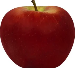 Apple 1 ea