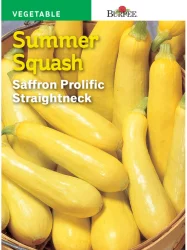 Burpee Saffron Summer Squash Seeds