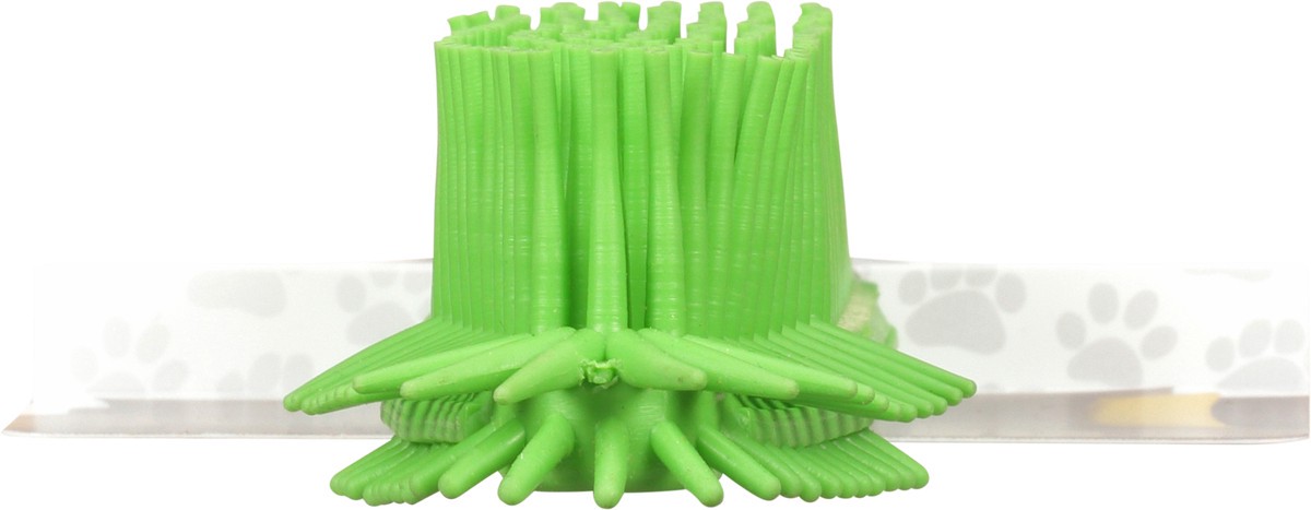 slide 4 of 9, Items 4U! Pet Hair Removal Brush, 1 ct