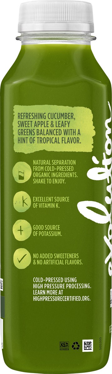 slide 11 of 12, Evolution Fresh Organic Sweet Apple Greens Cold-Pressed Vegetable & Fruit Juice Blend 15.2 oz., 