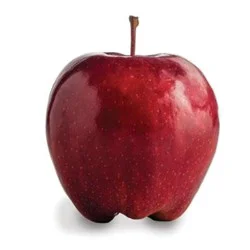 Organic Apples Red Delicious