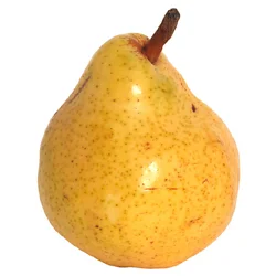 Pear Bartlett 70/80