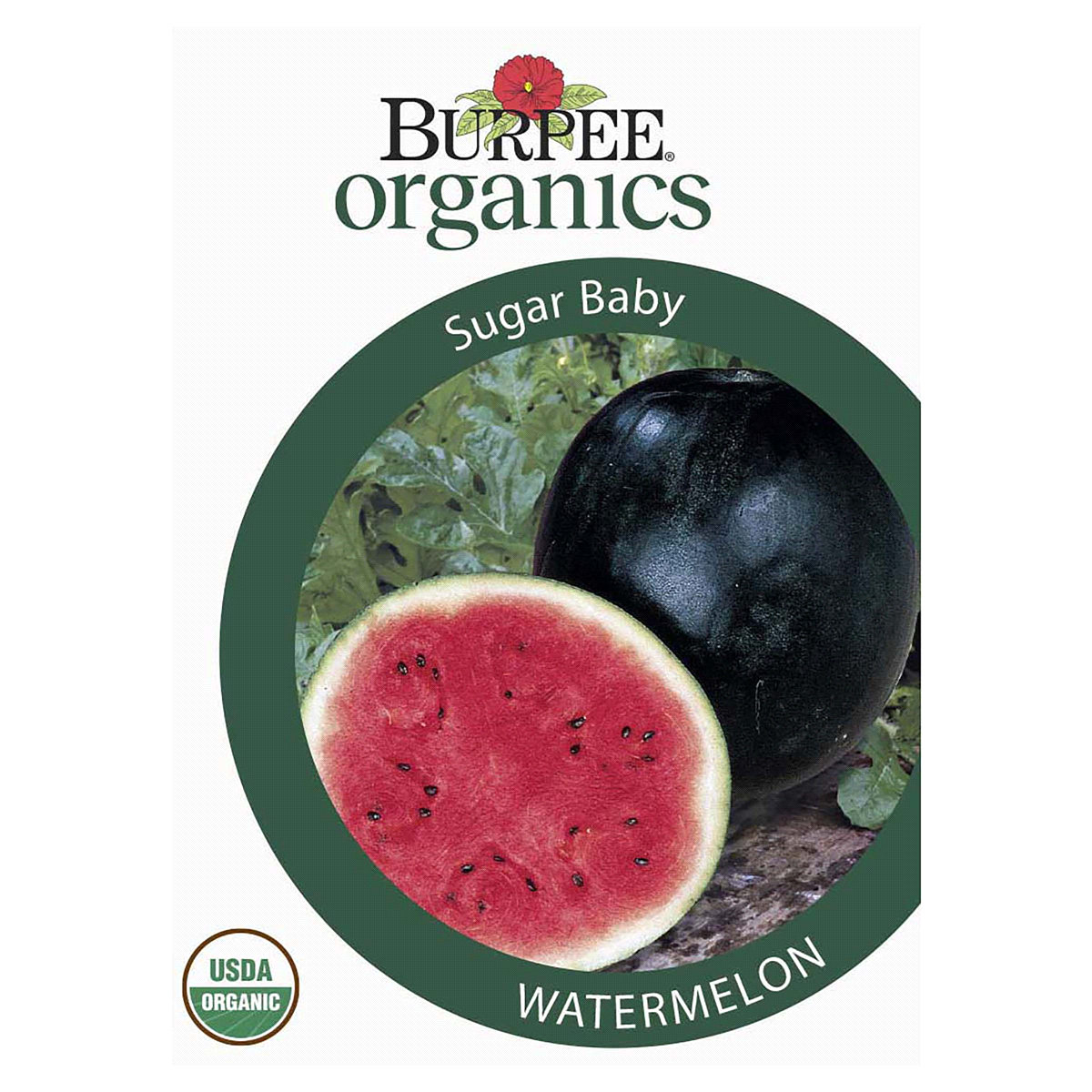 slide 1 of 5, Burpee Watermelon Sugar Baby Seeds, 1 ct