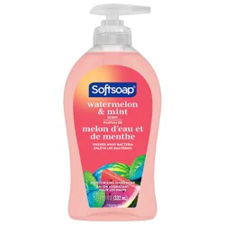 Softsoap Moisturizing Liquid Hand Soap Pump, Watermelon & Mint - 11.25 fl oz