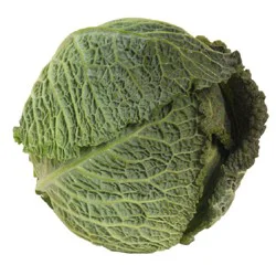Produce Green Savoy Cabbage