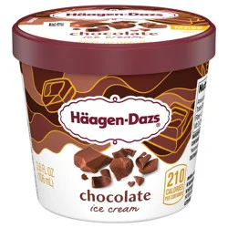 Häagen-Dazs Chocolate Ice Cream Cup