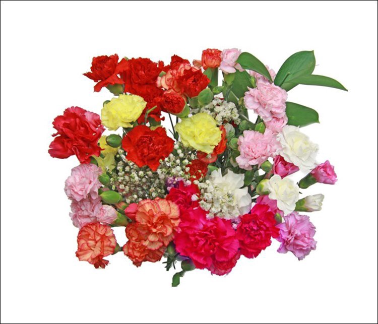 slide 1 of 1, Flowers Rainbow Mini Carnation Bouquet, 1 ct