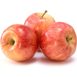 Small Gala Apples