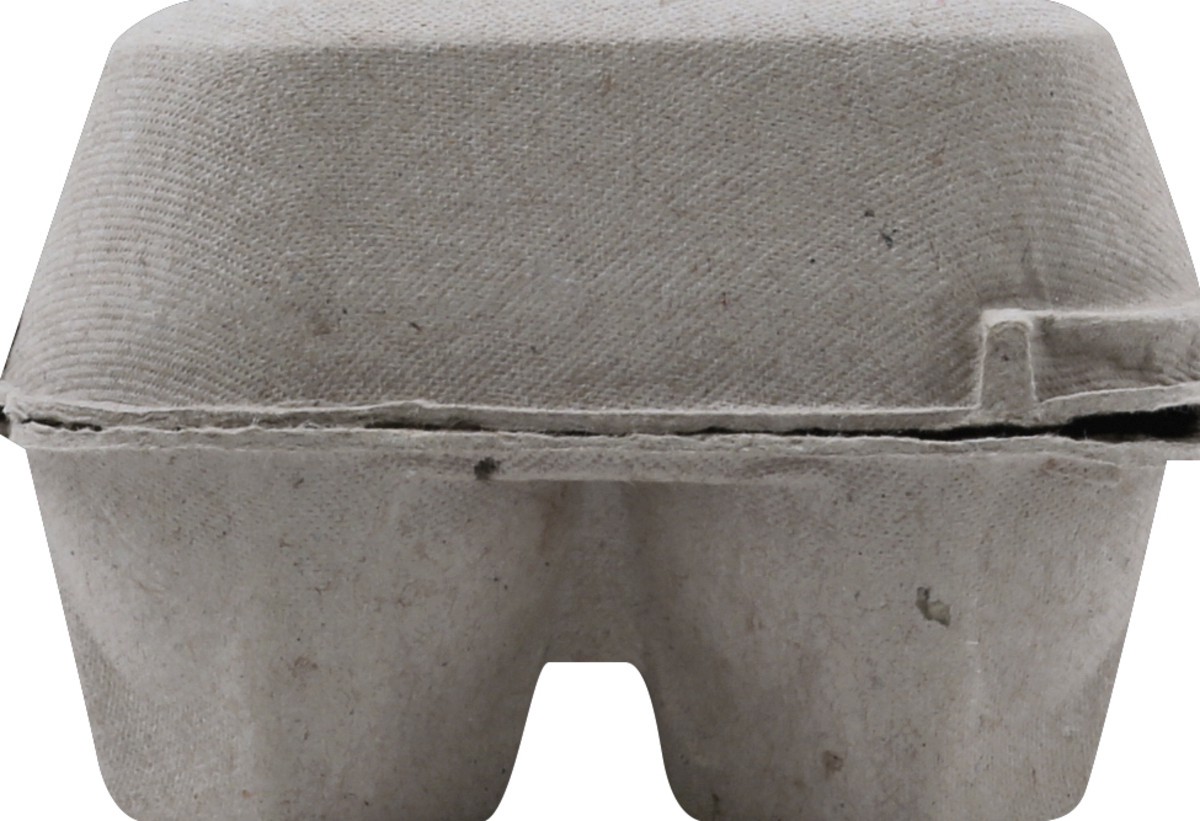 slide 6 of 9, Wild Harvest Brown Cage Free Eggs - 12 ct, 12 ct