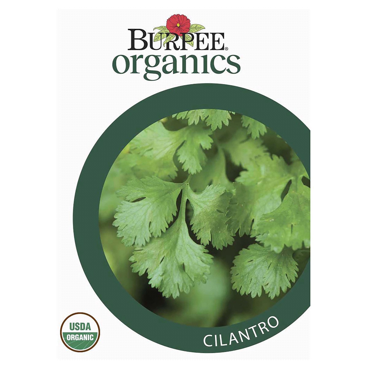 slide 1 of 5, Burpee Cilantro Seeds, 1 ct