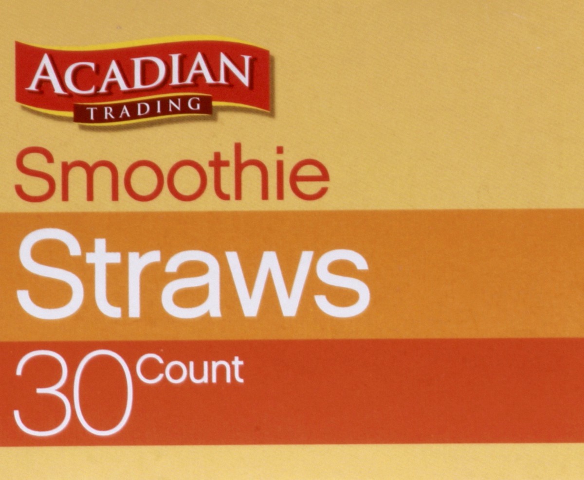 slide 4 of 8, Acadian Trading Smoothie Straws, 30 ct
