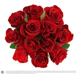 Dierbergs Flowers & Gifts 12 Stem Rose Bunch