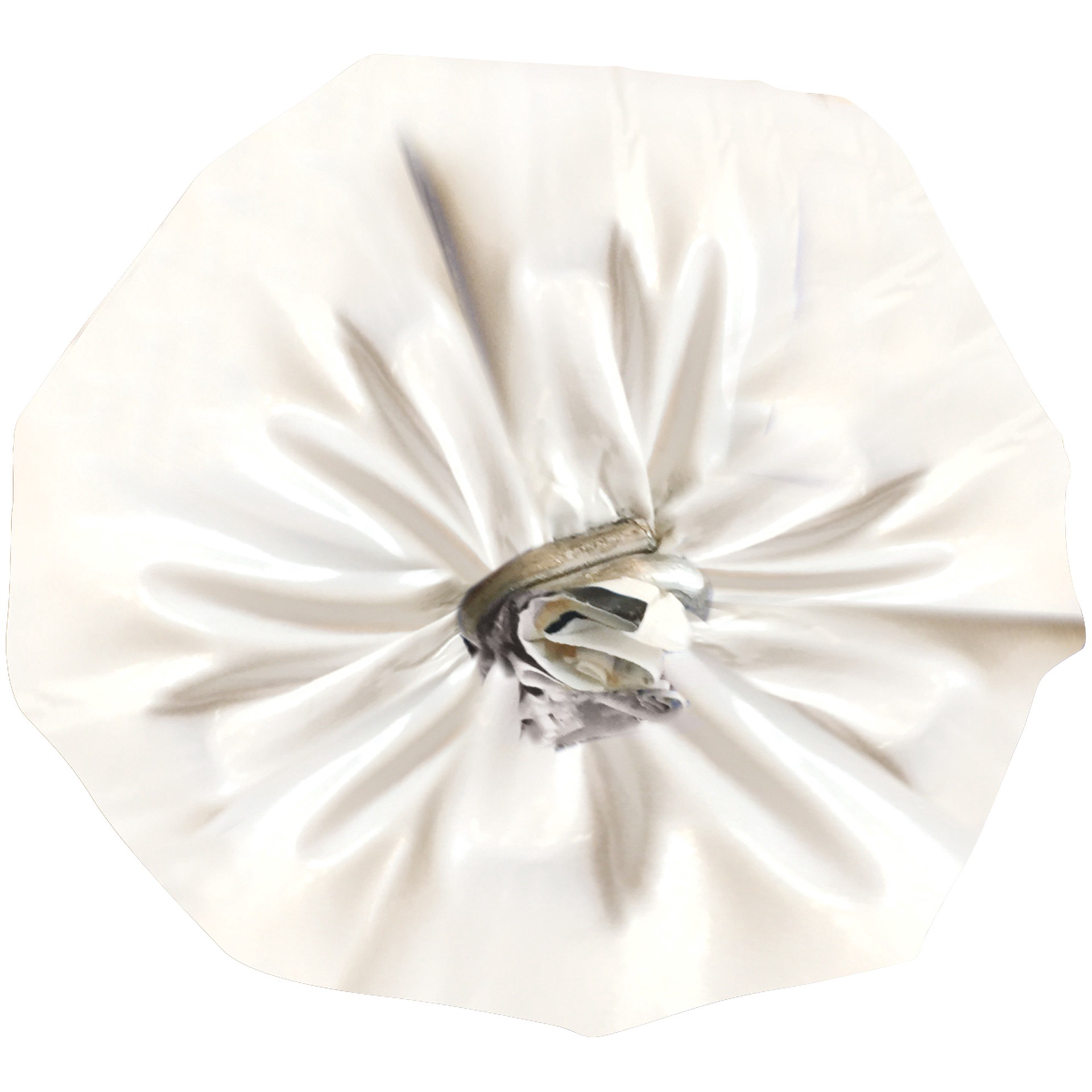 slide 3 of 7, Carolina Turkey Ground Turkey (Bulk), 5 lb