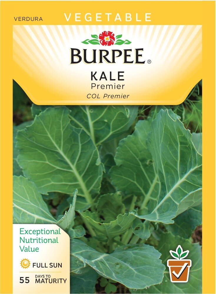 slide 1 of 1, Burpee Premier Kale Seeds, 1 ct