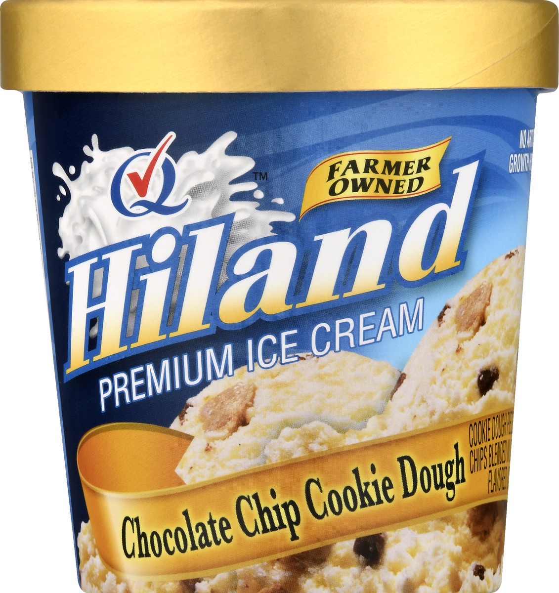 slide 1 of 12, Hiland Dairy Premium Chocolate Chip Cookie Dough Ice Cream 1 pt, 1 pint