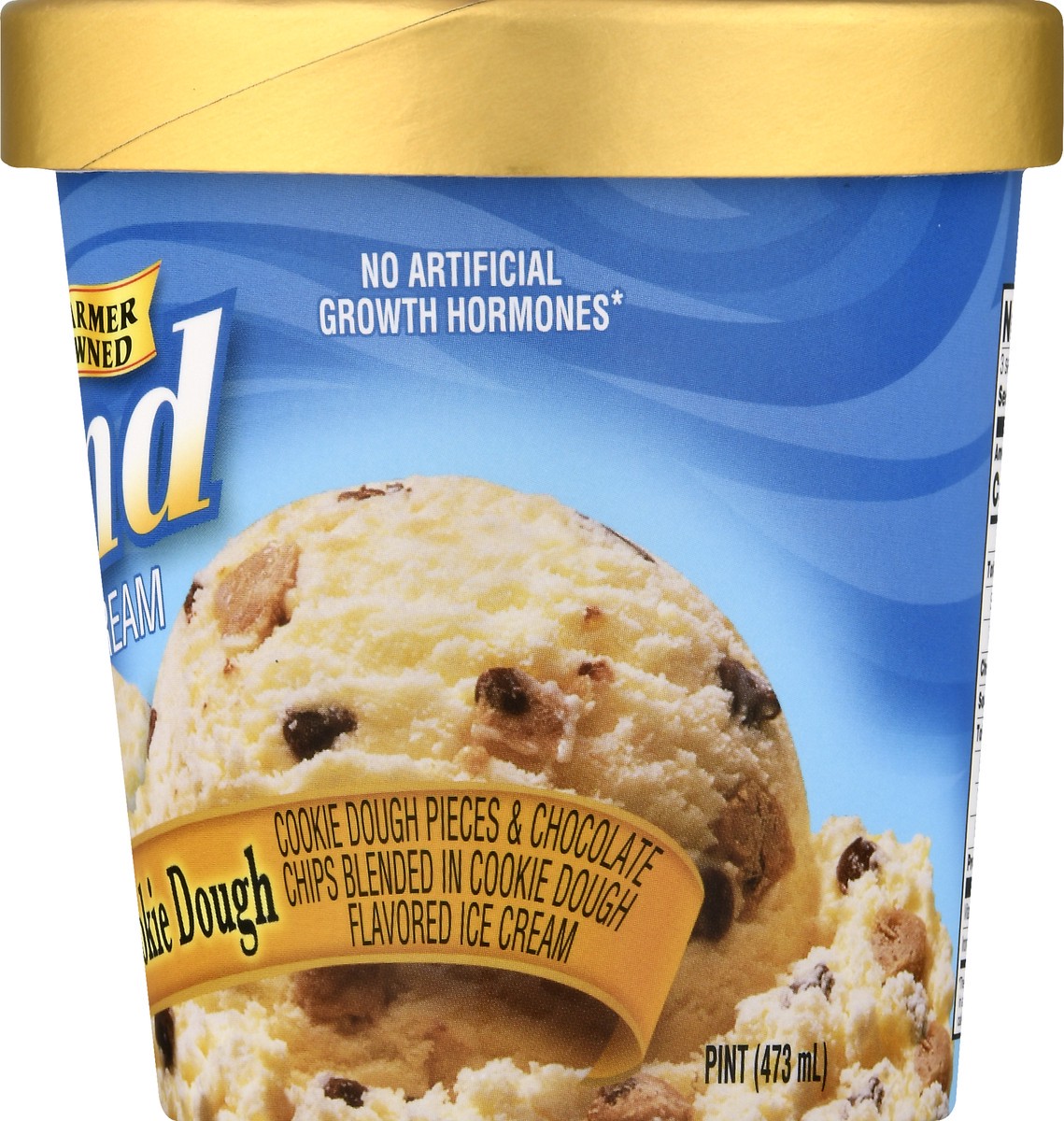 slide 12 of 12, Hiland Dairy Premium Chocolate Chip Cookie Dough Ice Cream 1 pt, 1 pint