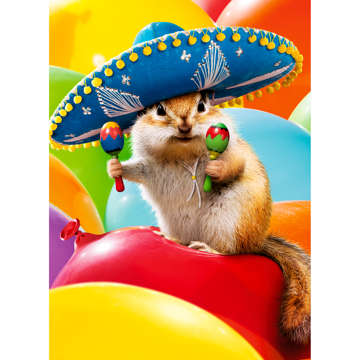 slide 1 of 1, Avanti Card Bday Chipmunk Som Lent, 1 ct