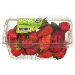 Bova Fresh Organic Strawberries 16 oz