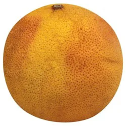 Large Pink Grapefruit