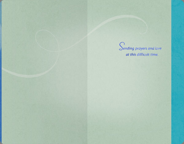 slide 2 of 2, Crd Any1 Symp Wht Flwr Blu, 0.50 oz