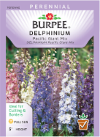 slide 1 of 1, Burpee Perennial Delphinium Giant Pacific Mix Seeds, 1 ct