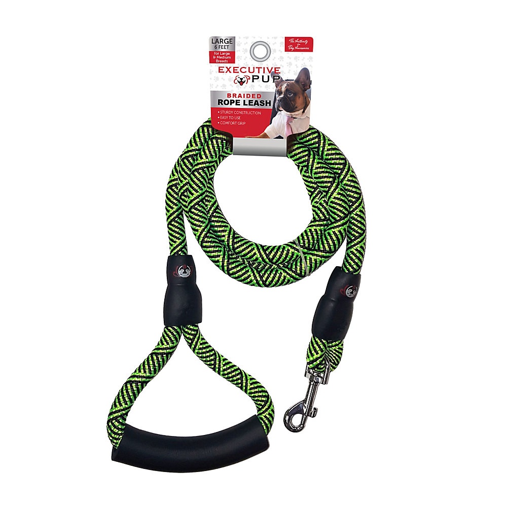 slide 1 of 1, Executive Pup Rope Leash, 6', Green, 1 ct