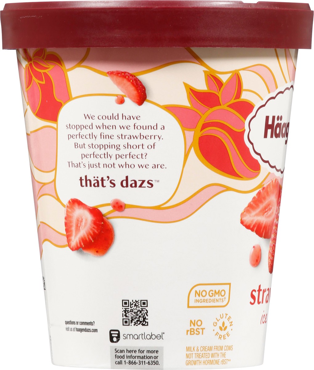 slide 4 of 9, Häagen-Dazs Strawberry Ice Cream 28 fl oz, 28 fl oz