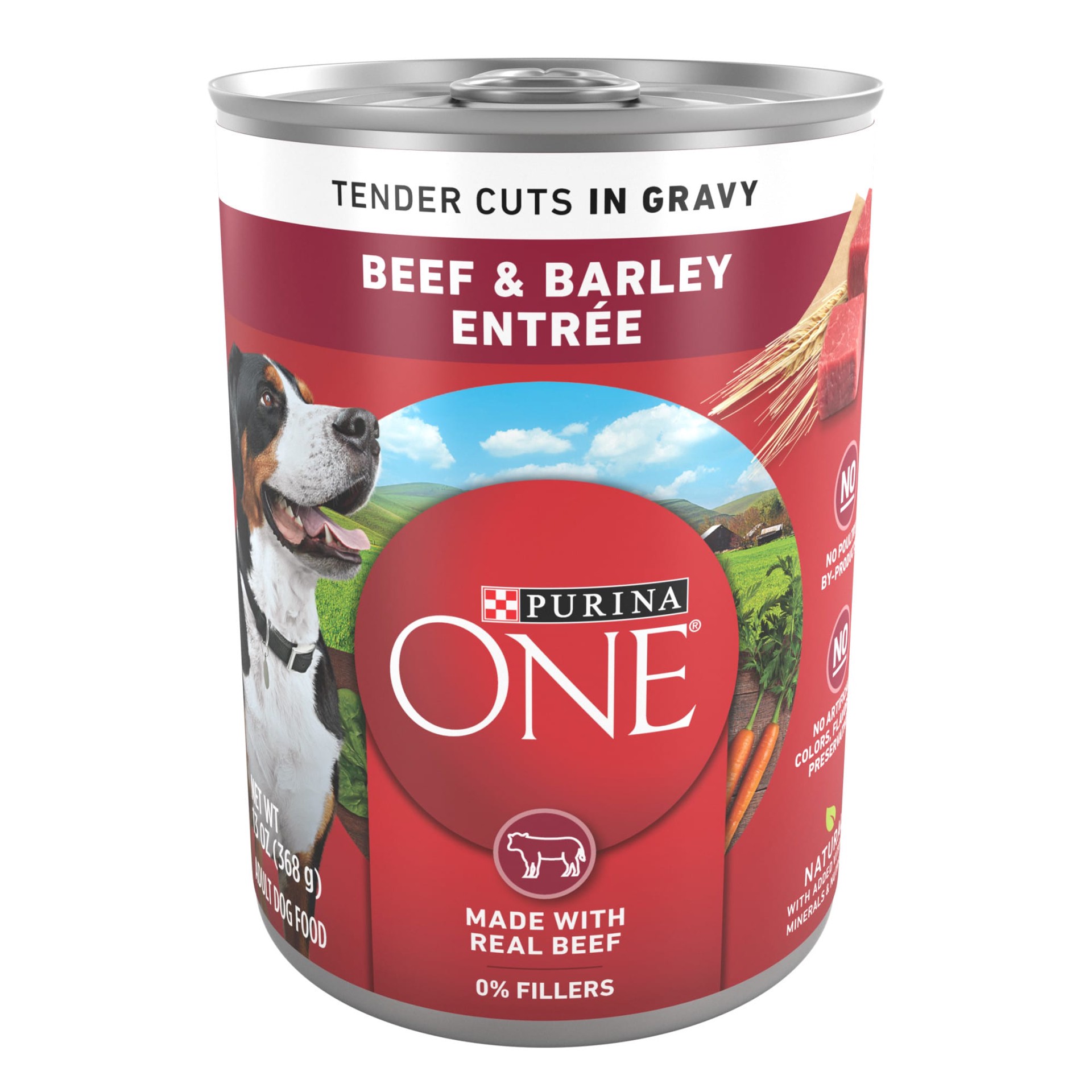 slide 1 of 7, ONE Purina ONE Tender Cuts in Gravy Beef and Barley Entree in Wet Dog Food Gravy, 13 oz