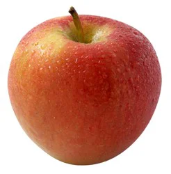 Large Jazz Apple
