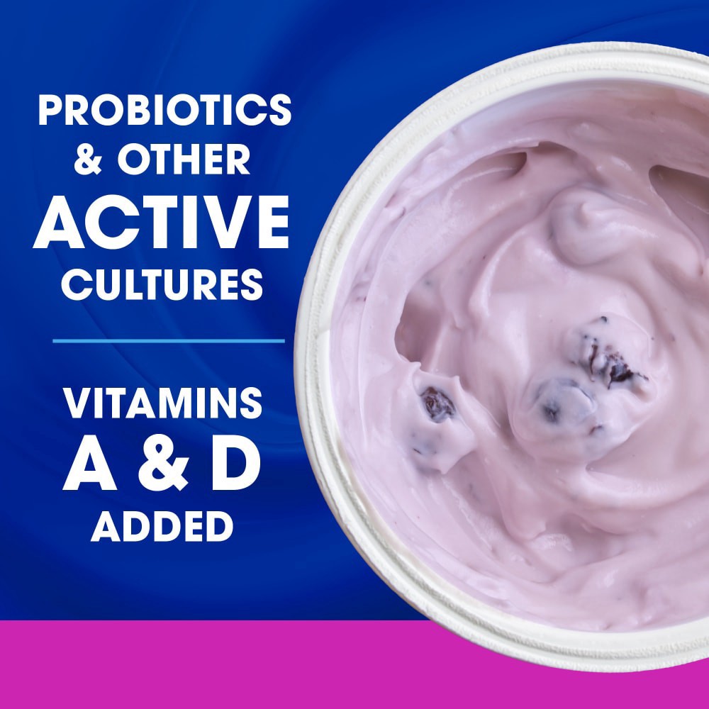 slide 5 of 5, Kroger Blueberry Low Fat Yogurt Cup, 6 oz