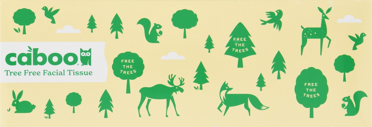 slide 2 of 11, Caboo Tree Free 3-Ply Facial Tissue 120 ea, 120 ct