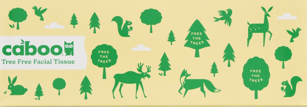 slide 8 of 11, Caboo Tree Free 3-Ply Facial Tissue 120 ea, 120 ct